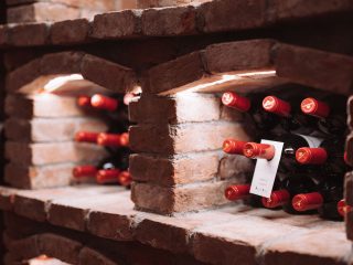 20220830_kristiania_AR909197