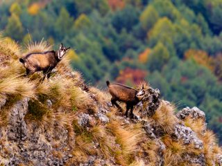 Parco Nazionale dello Stelvio