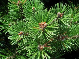 Parco Nazionale dello Stelvio