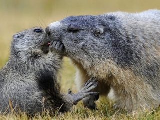 Parco Nazionale dello Stelvio