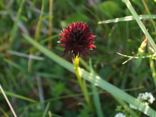 Parco Nazionale dello Stelvio