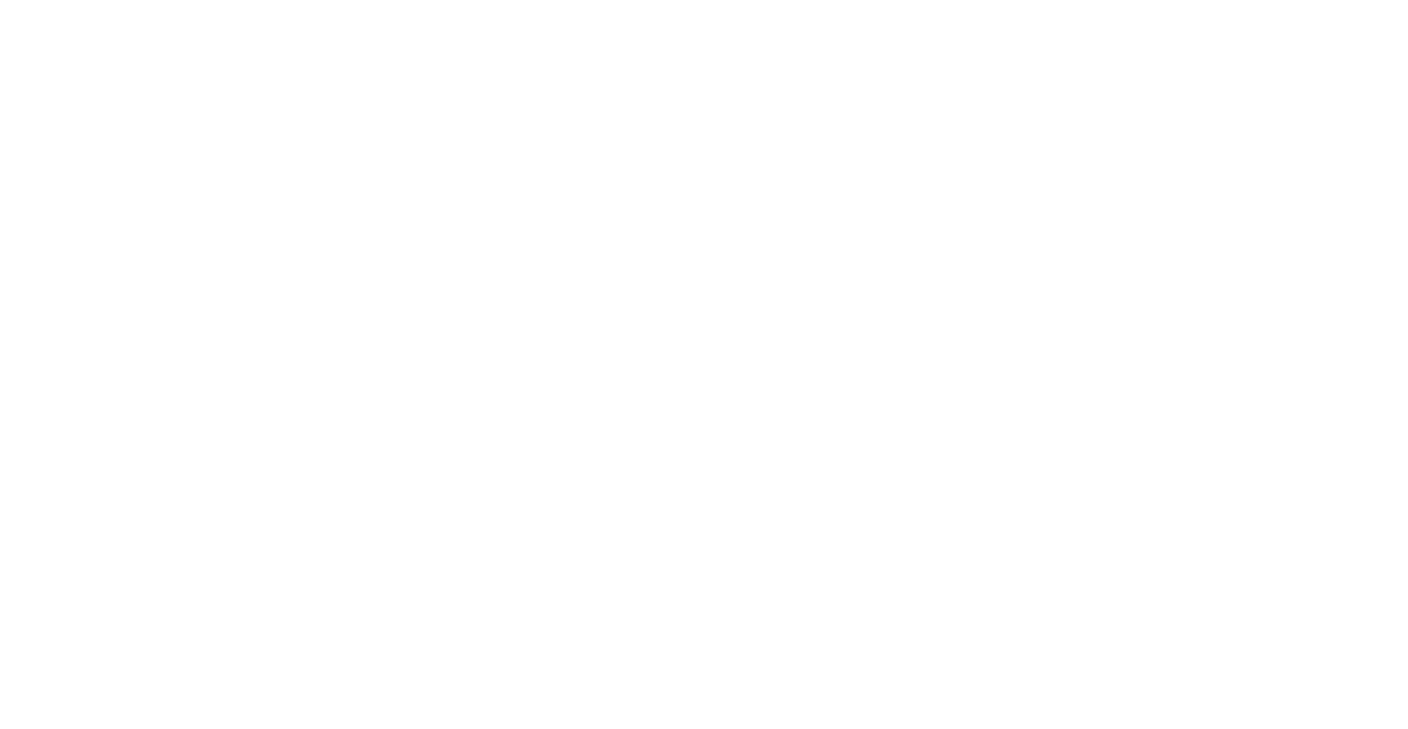Logo Viaggi Ospitalità Naturasi