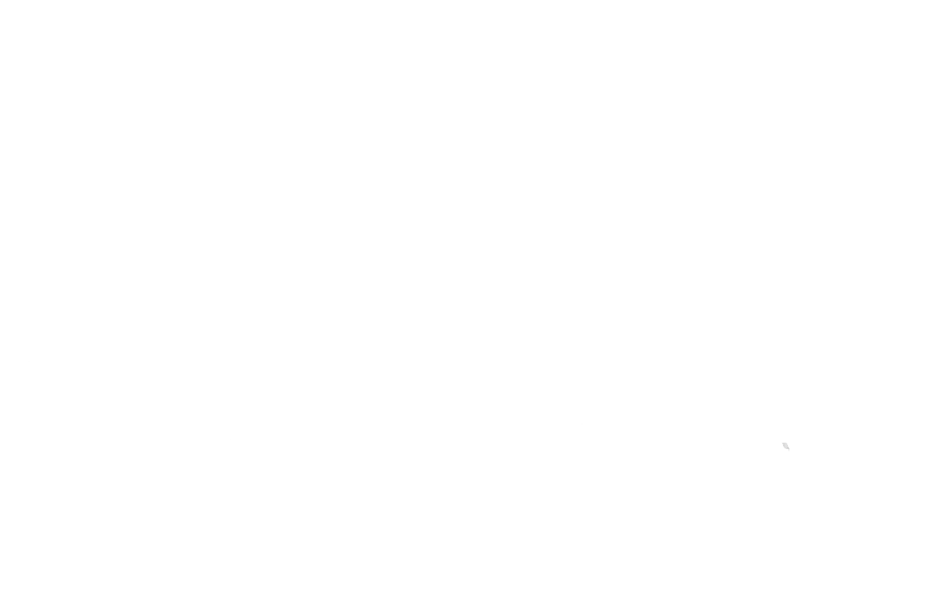 Logo Vita nova