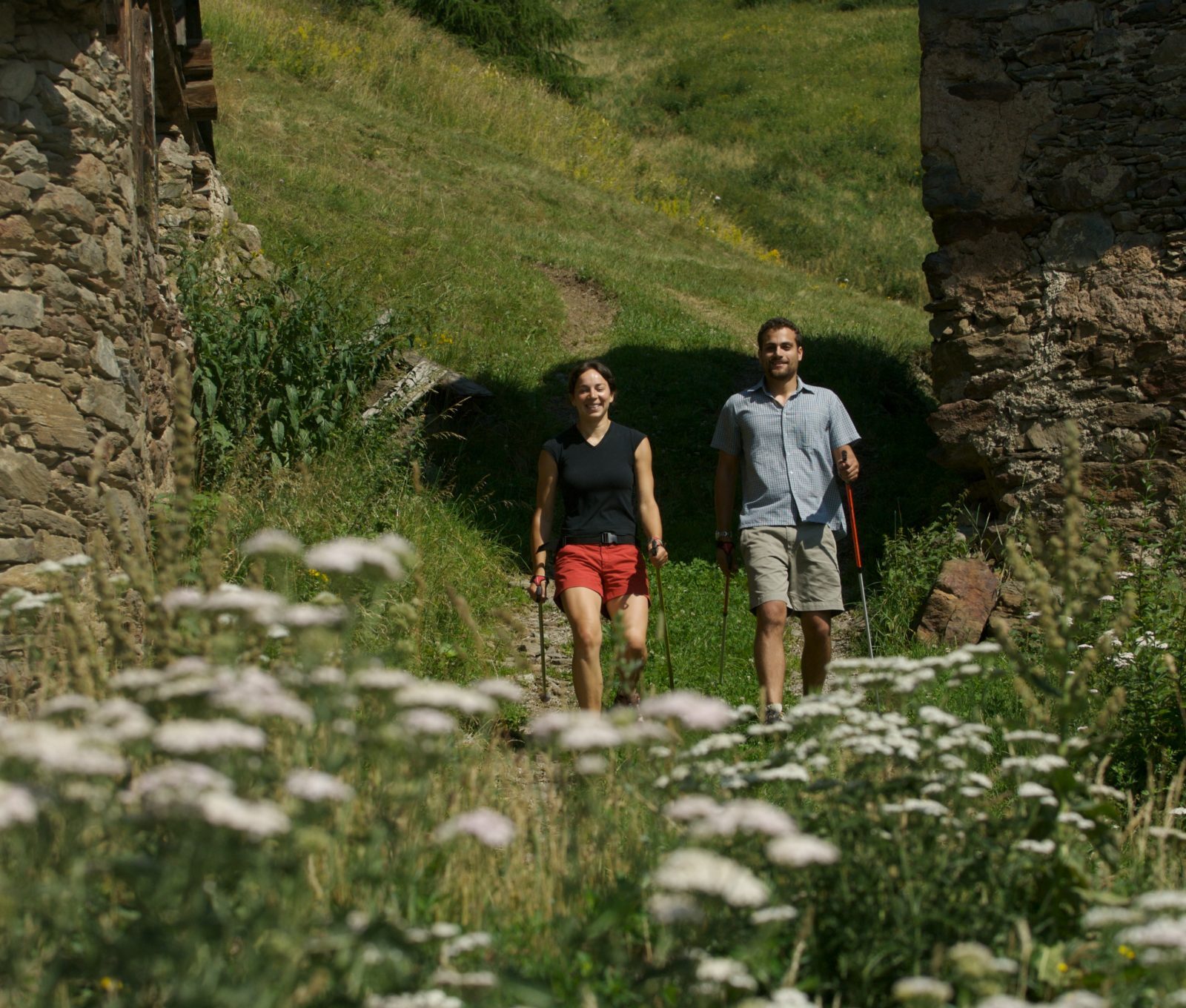 Immagine per Nordic Walking in Val di Pejo: esplorare la natura