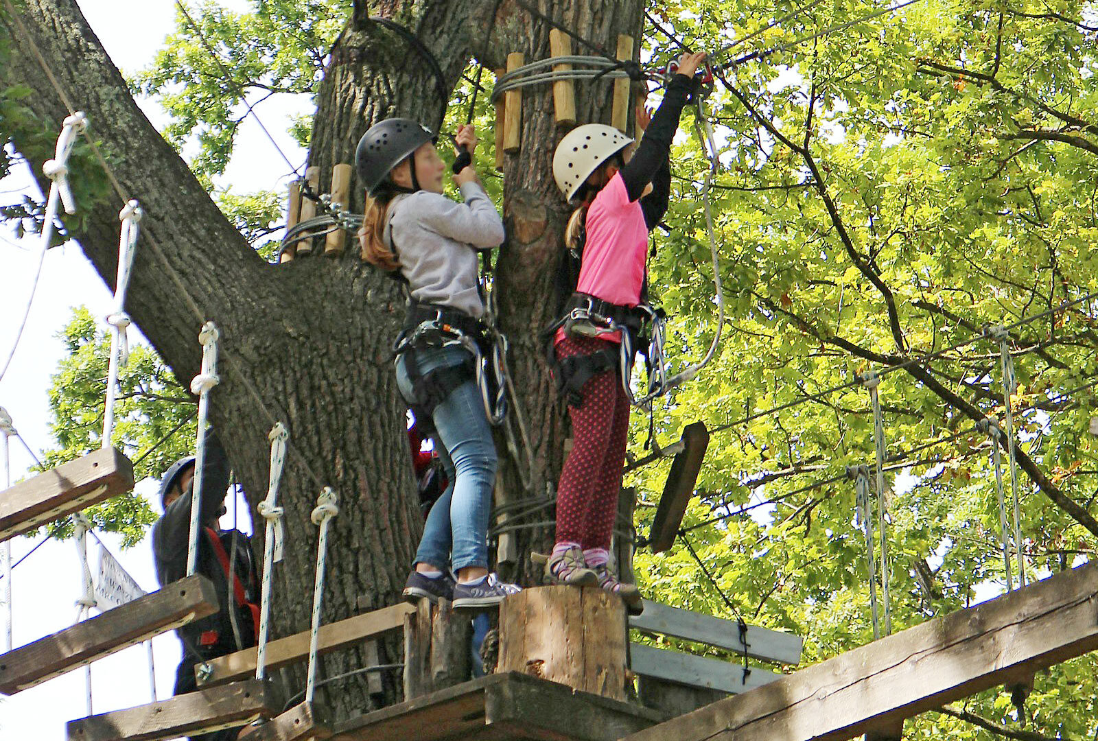 Immagine per Il Parco Avventura Flying Park di Malè