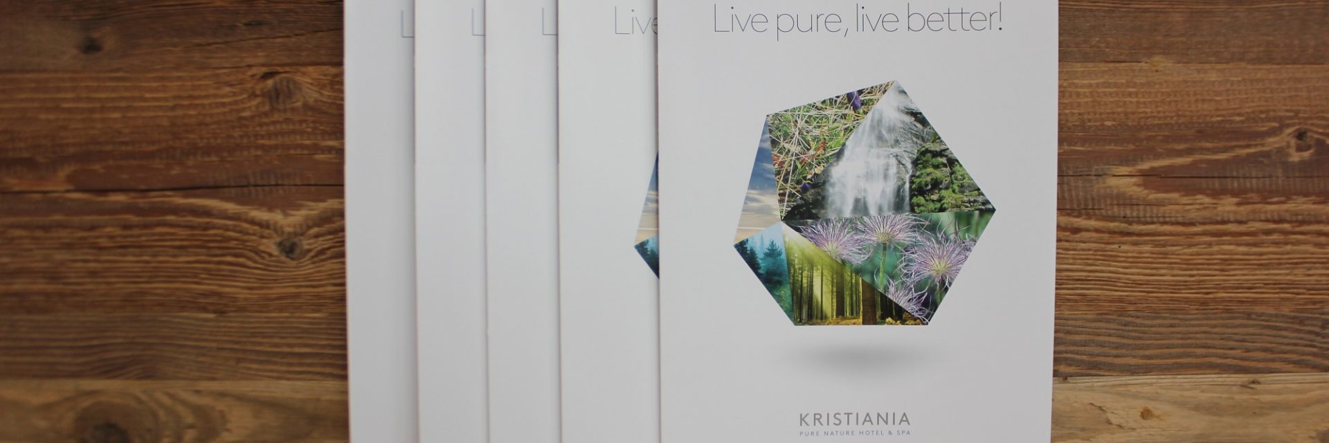 Immagine di testata per Brochures & lists