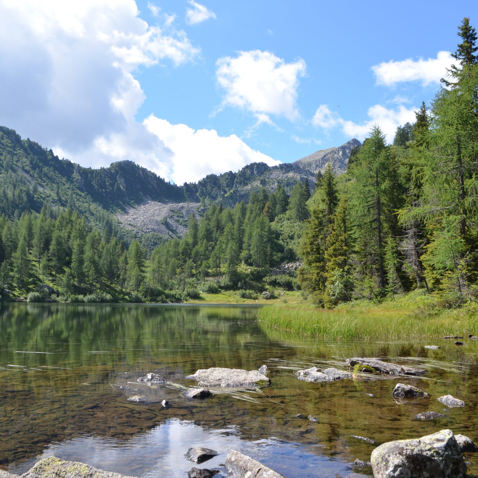 Immagine per Escursione in quota in Val di Sole: i Laghetti del Malghetto e Malga Panciana