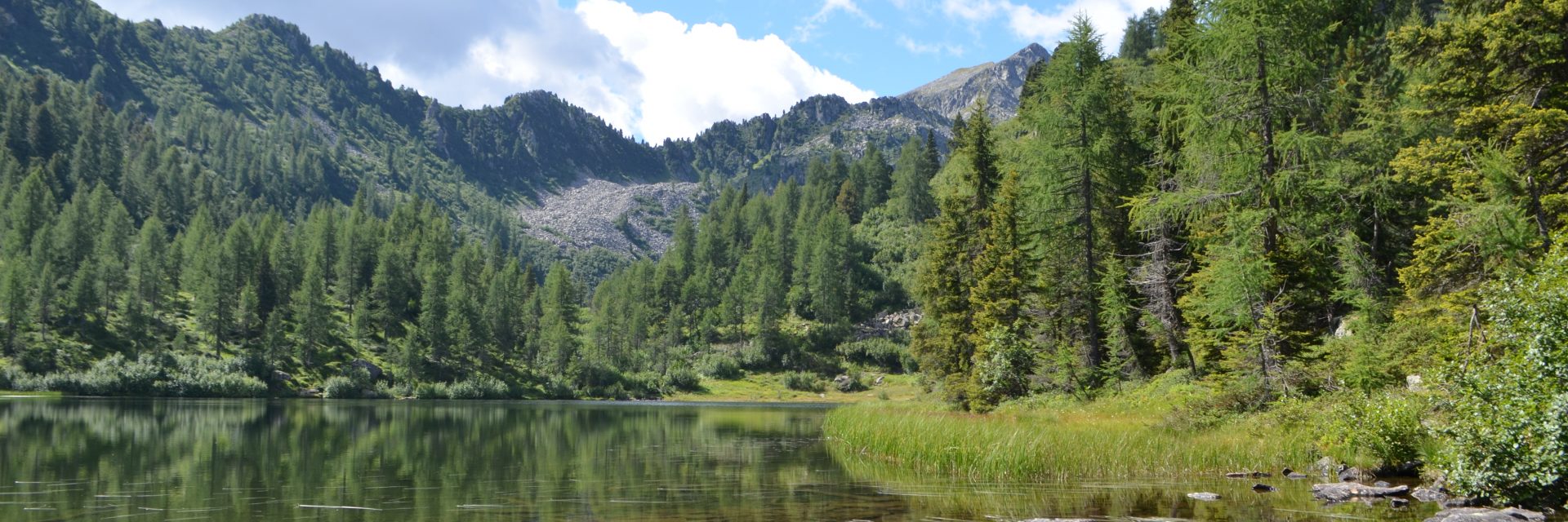 Immagine di testata per Spaziergang in den Bergen im Val di Sole: die Seen „Laghetti Del Malghetto“