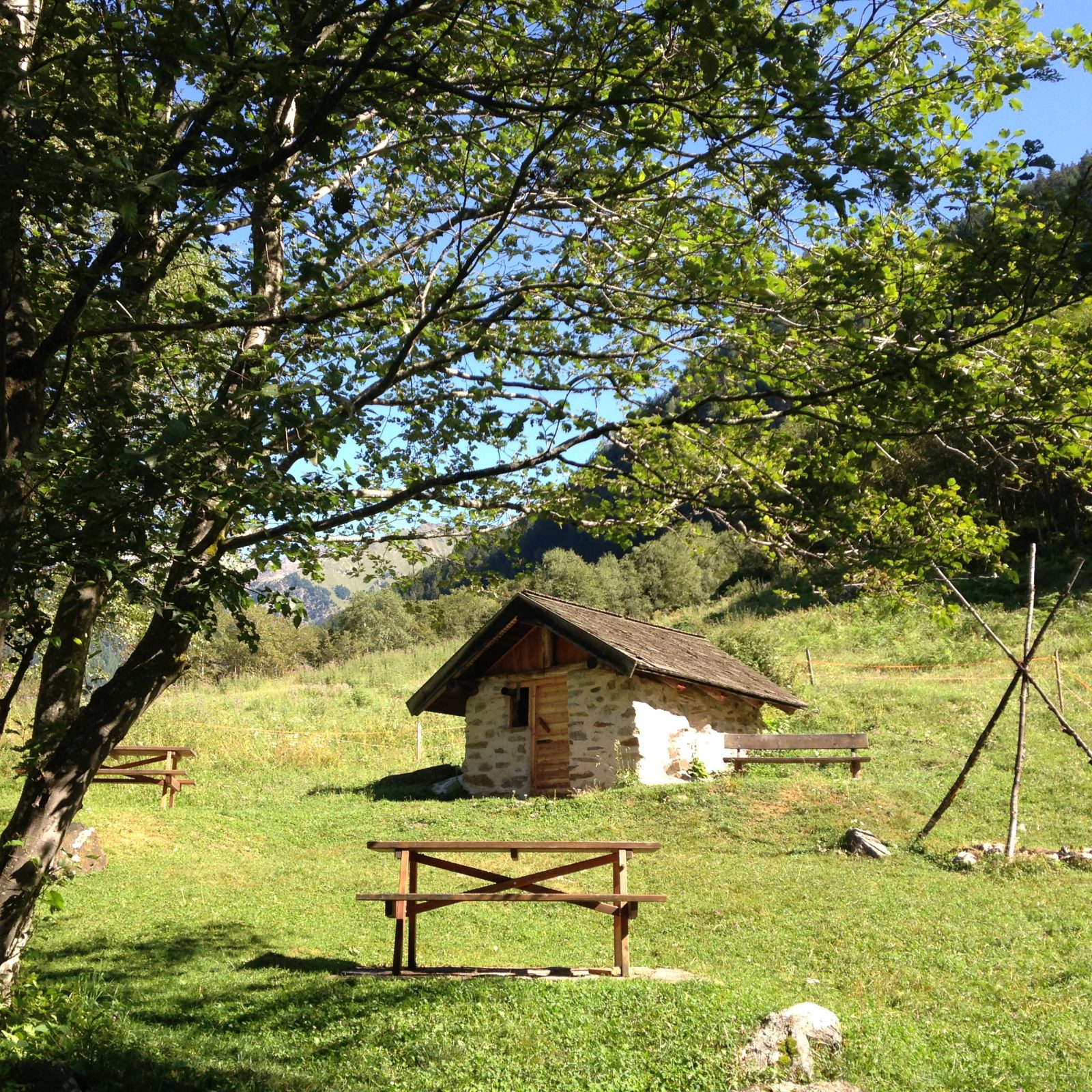 Immagine per Passeggiata agli antichi Masi della Val di Pejo