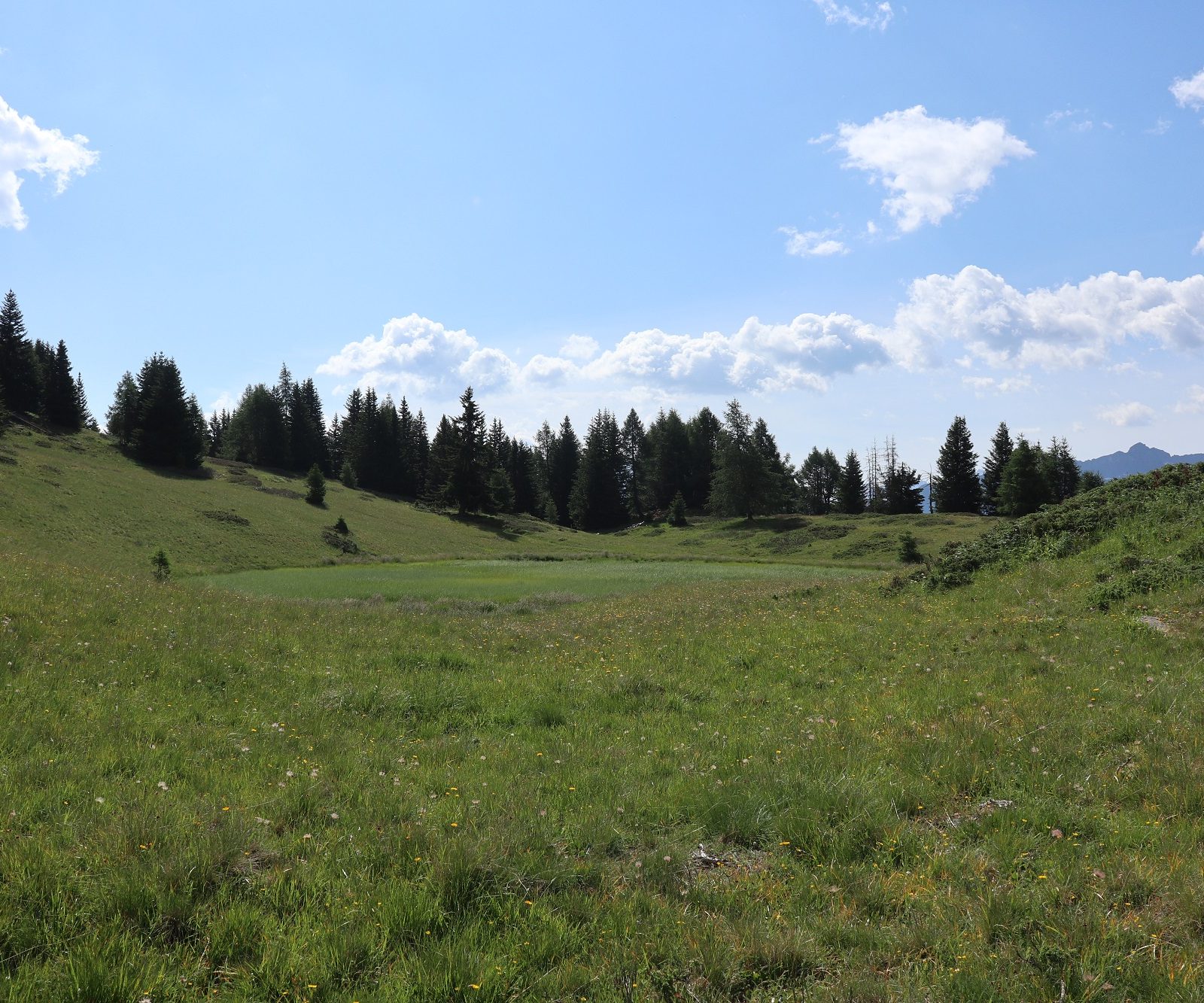 Immagine per I panorami della Val di Pejo: Malga Campo – Celentino