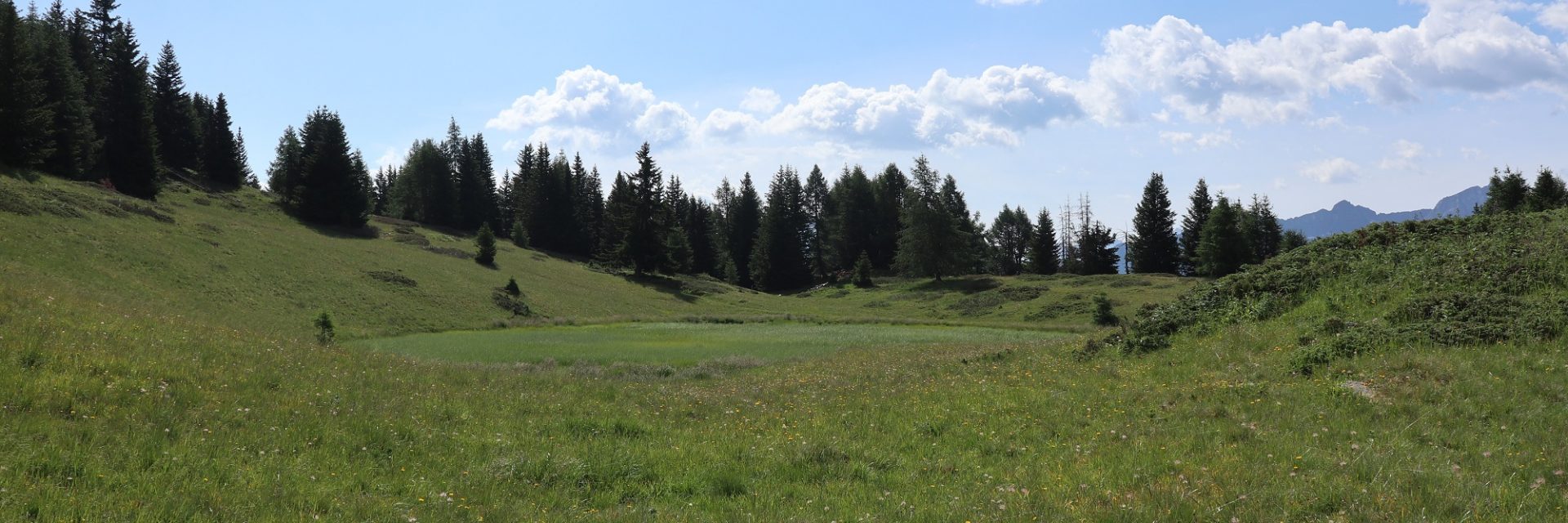 Immagine di testata per Die Panoramen des Val di Pejo: die Alm „Malga Campo“