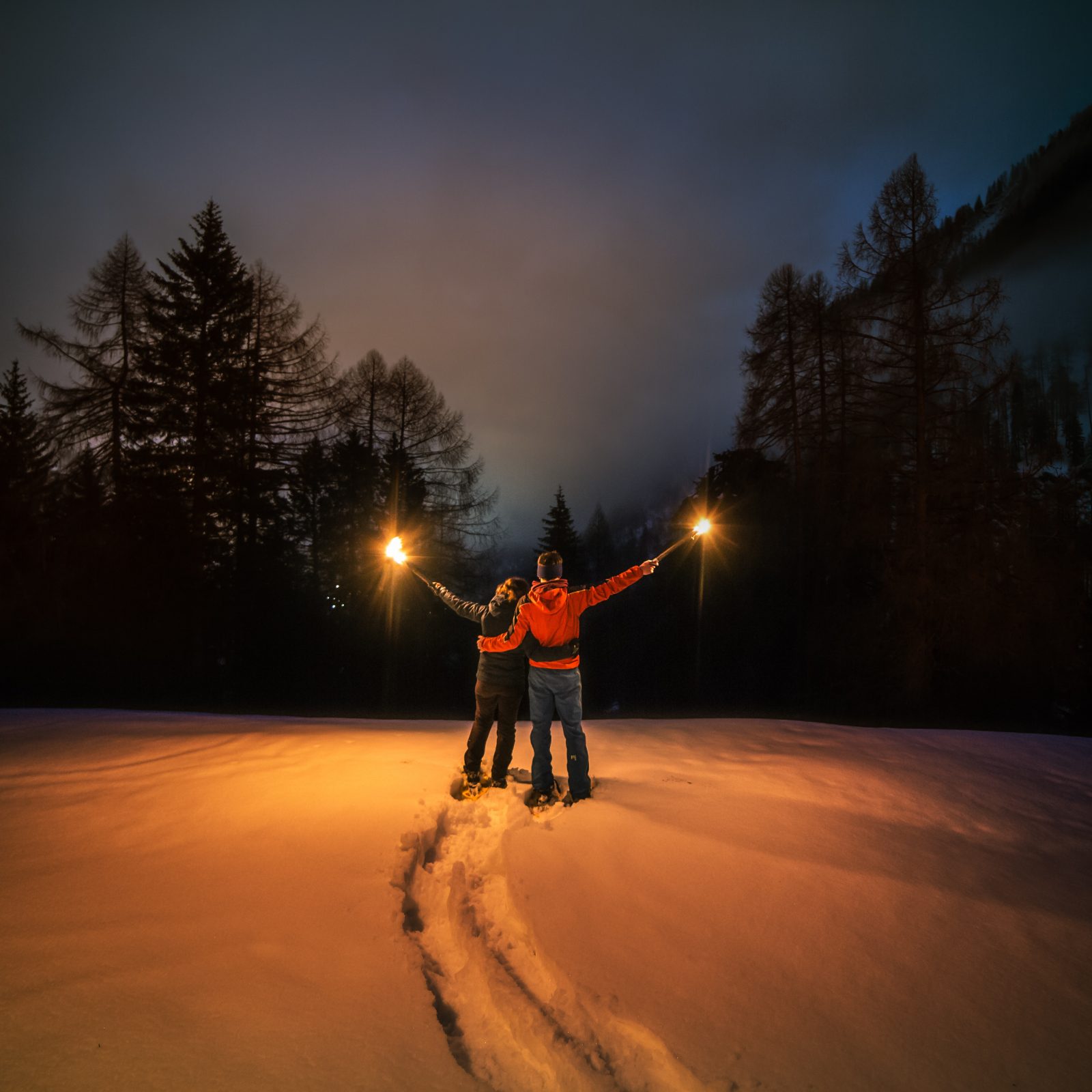 Immagine per Escursioni con le ciaspole in Val di Sole, Trentino