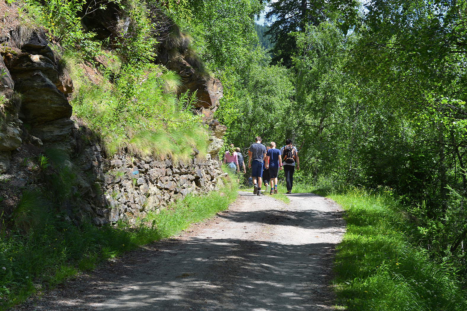 Immagine per Fantastiche escursioni estive in Val di Sole e Pejo