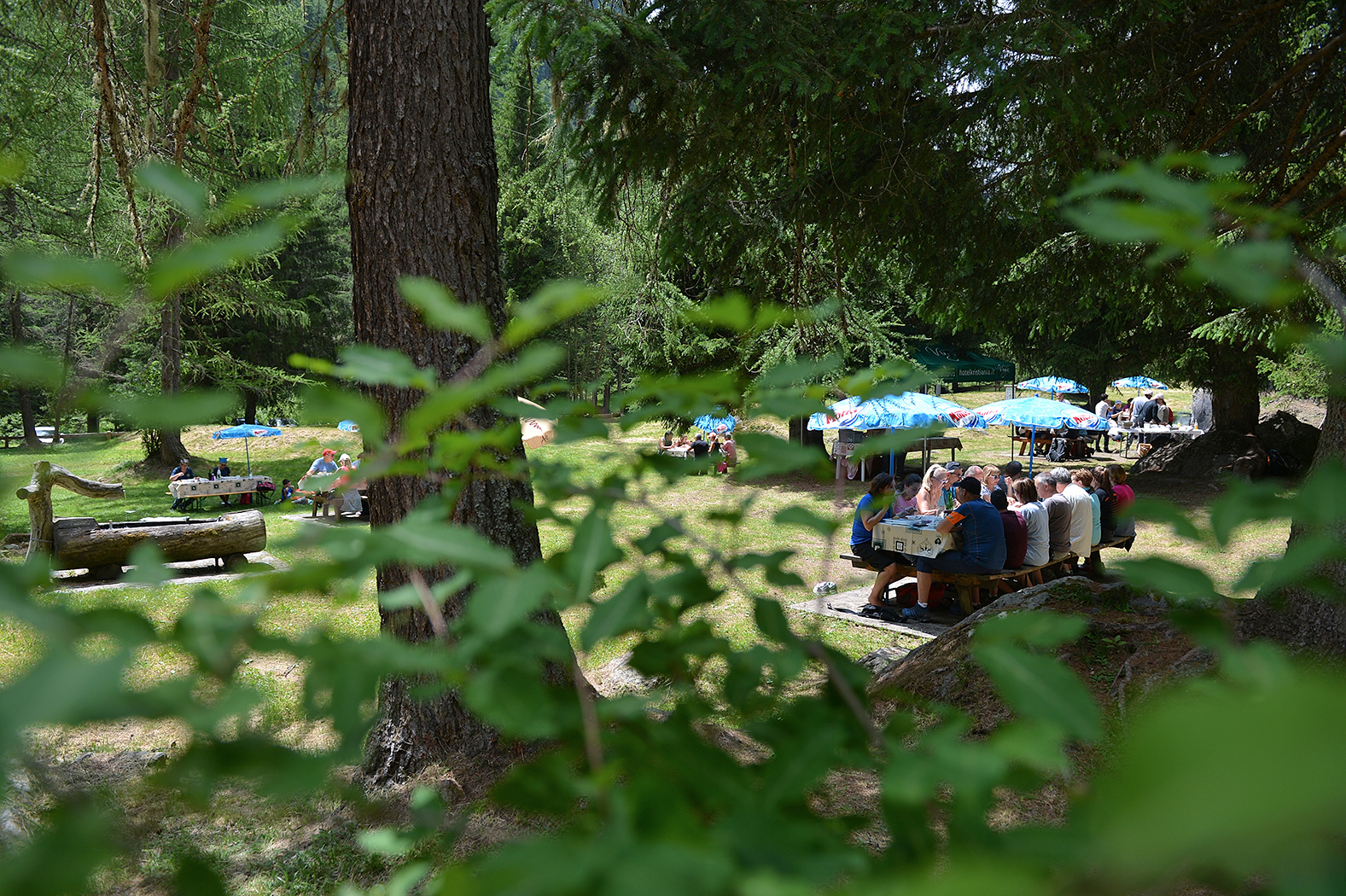 Immagine per Una giornata perfetta insieme a nuovi amici