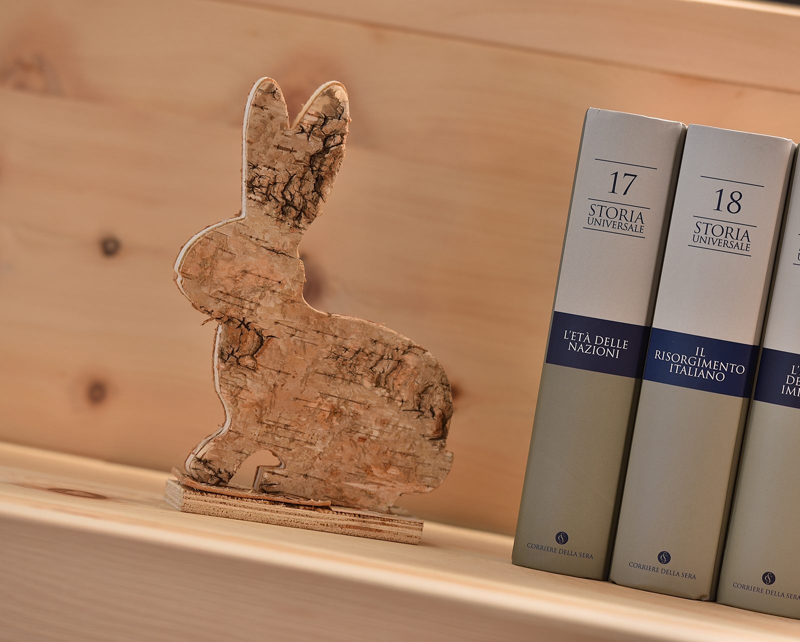 Immagine per La biblioteca