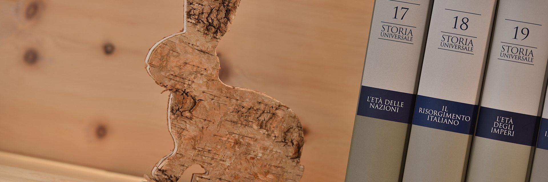 Immagine di testata per The library