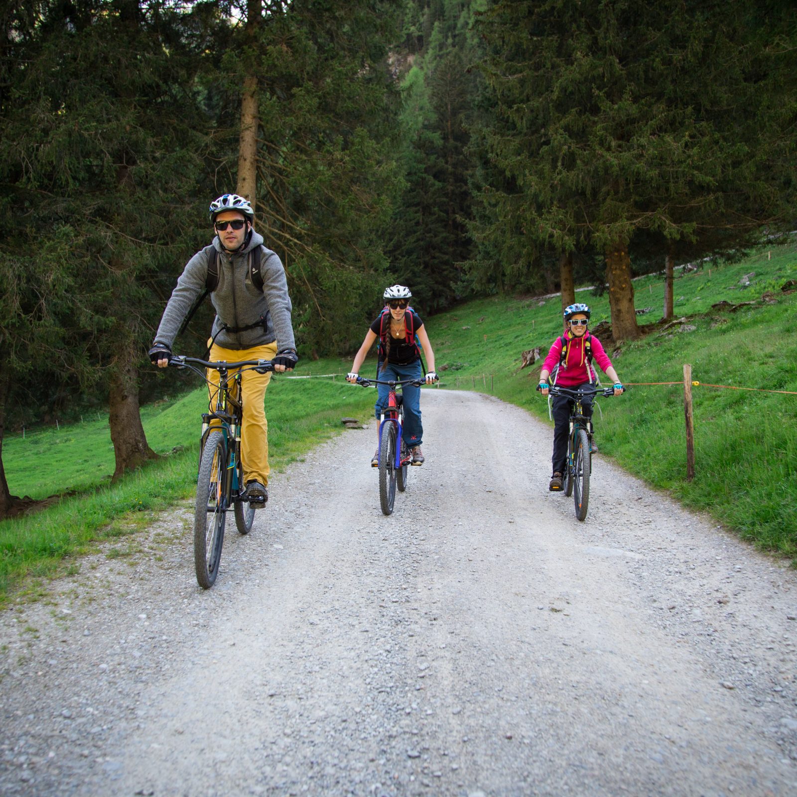 Immagine per Vacanze in mountain bike in Val di Sole, Trentino