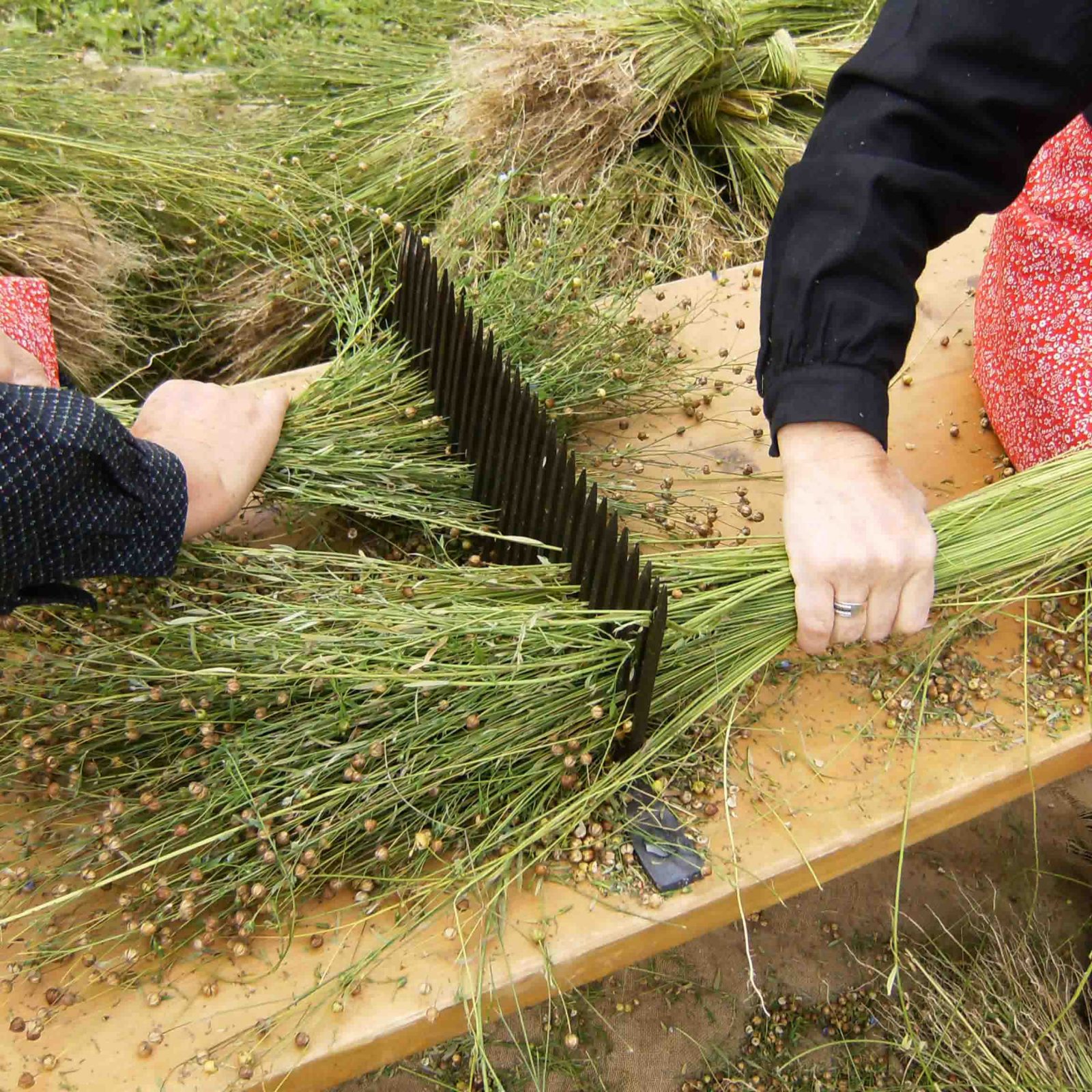 Immagine per Un “Piccolo Mondo Alpino” all’Ecomuseo della Val di Peio