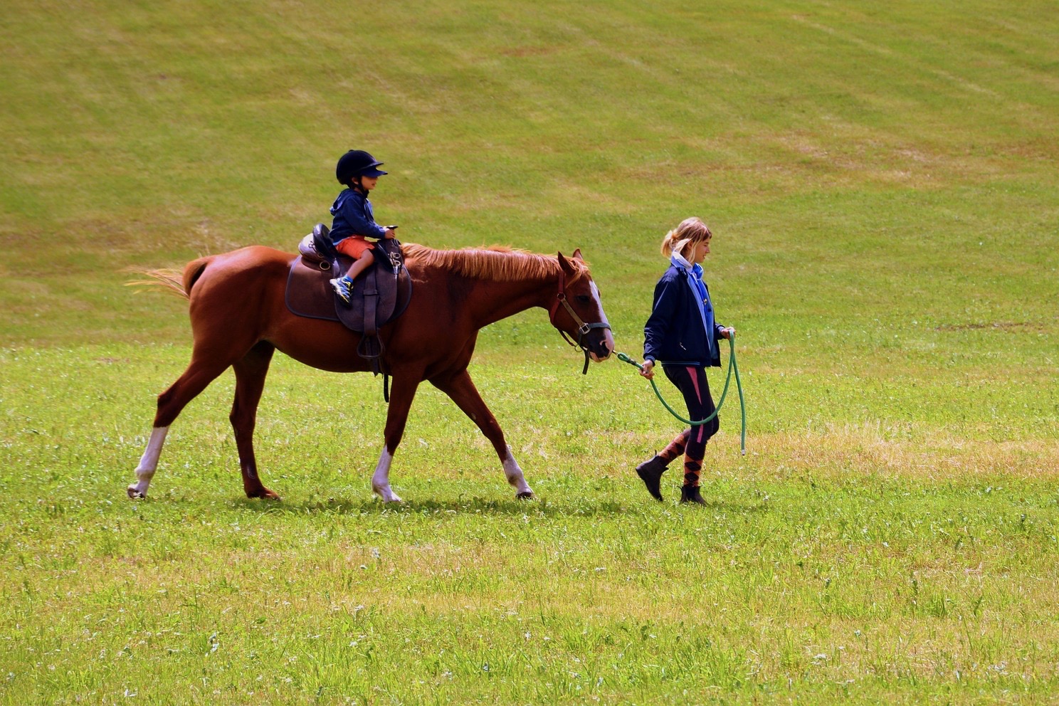 Immagine per Equitazione in Trentino alla scoperta della Val di Sole