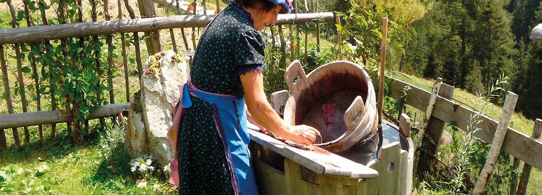 Immagine di testata per Alla scoperta delle Erbe