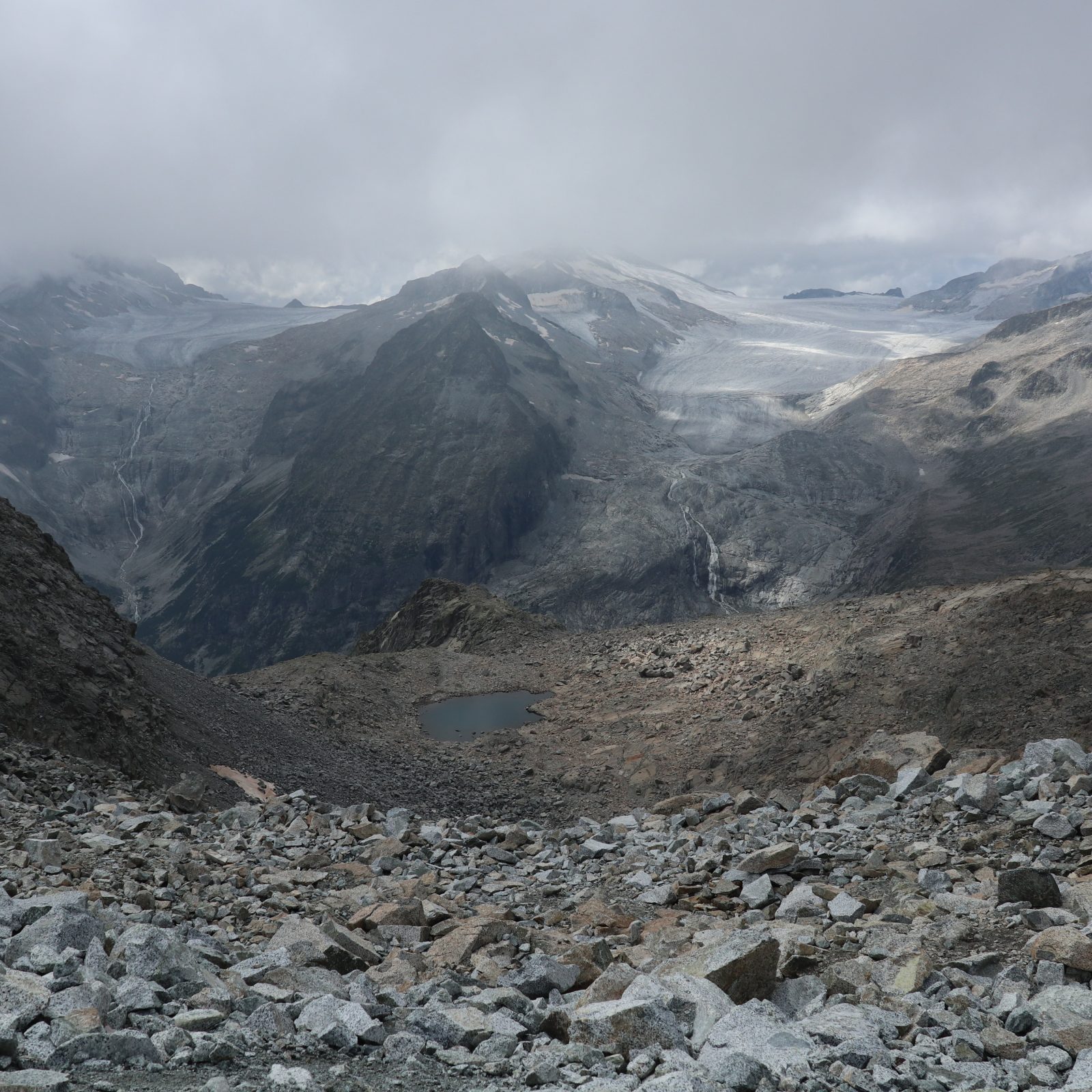 Immagine per Orme perenni: il Ghiacciaio Presena