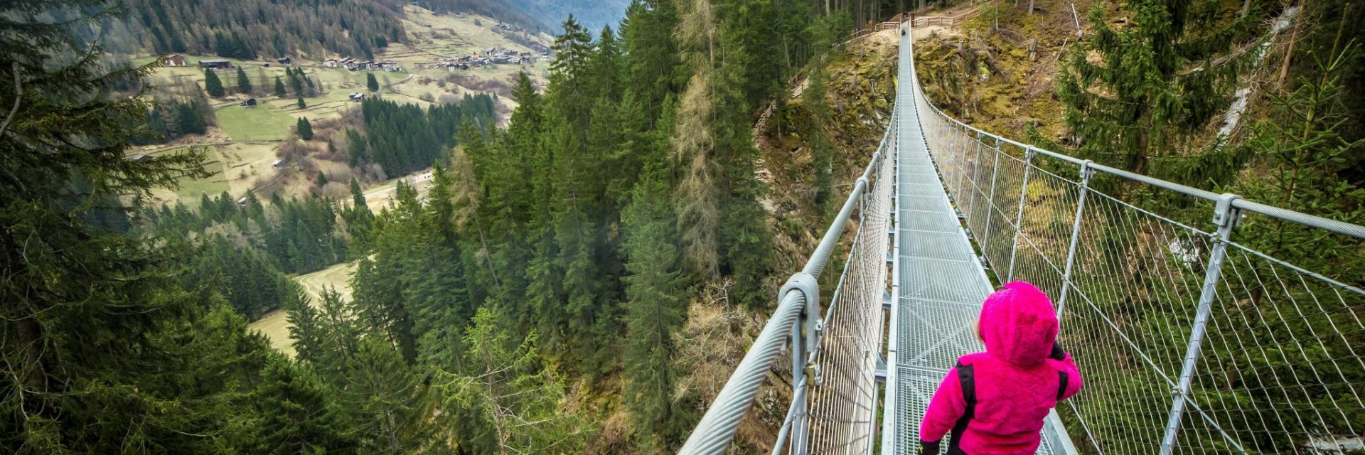 Immagine di testata per Avventura in Val di Rabbi: Ponte sospeso Ragaiolo e Malga Fratte