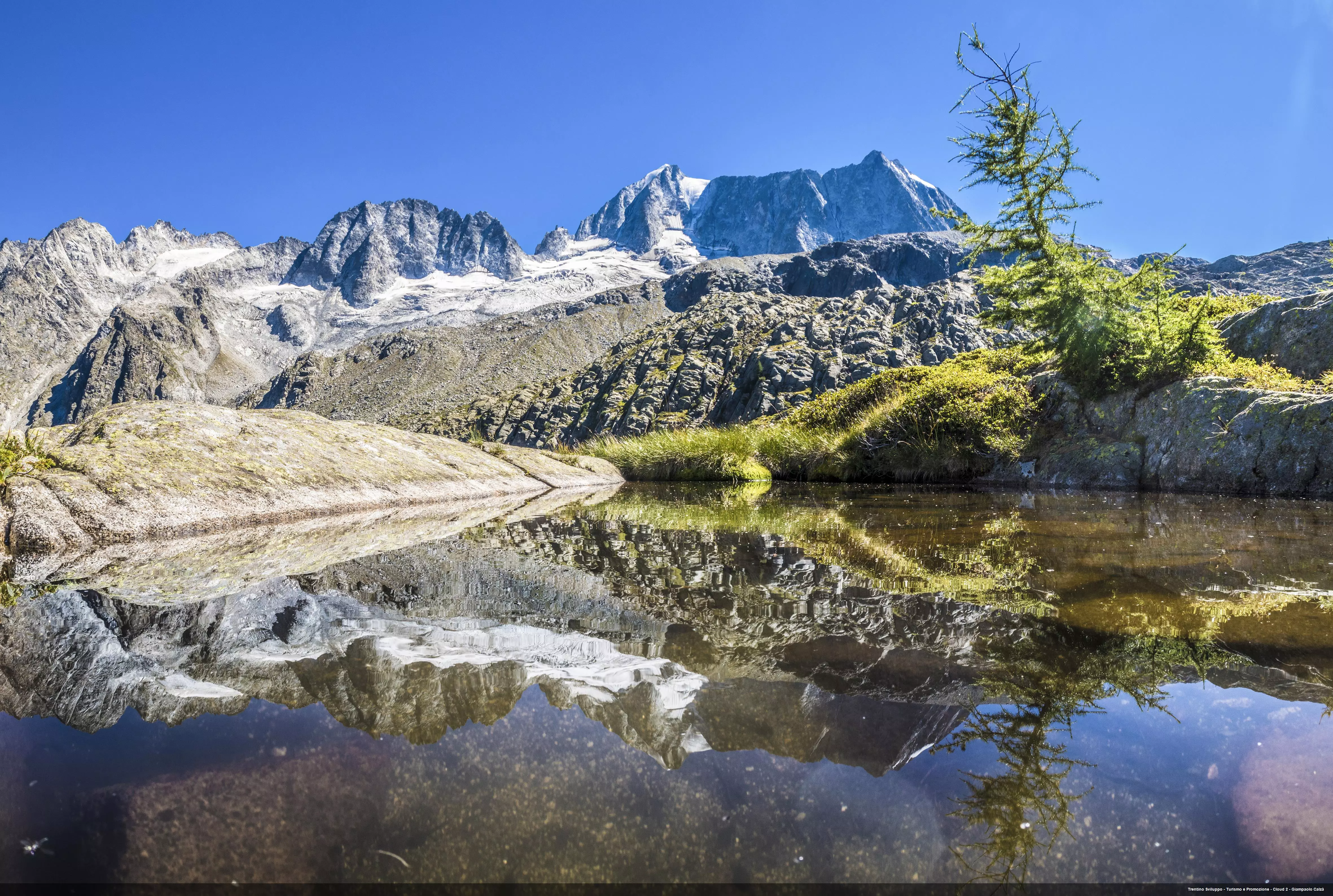 Immagine di testata per Am Fusse der Presanella: die Hütte „Rifugio Stavel“ und der See „Lago Denza“