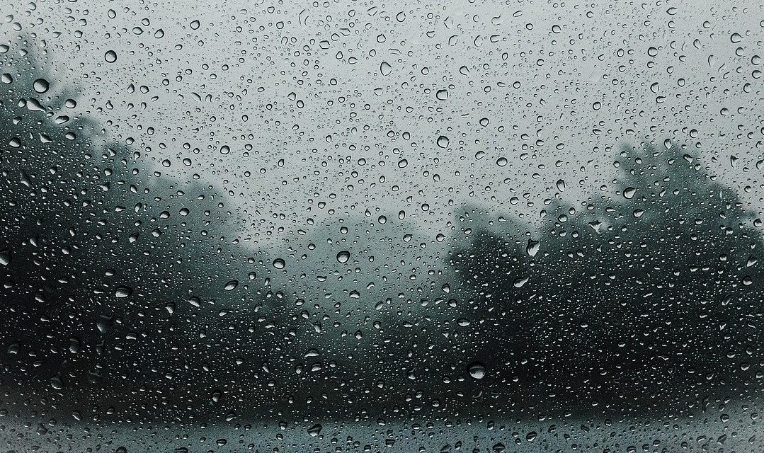 Immagine di testata per Cosa fare in Val di Sole, Pejo se piove