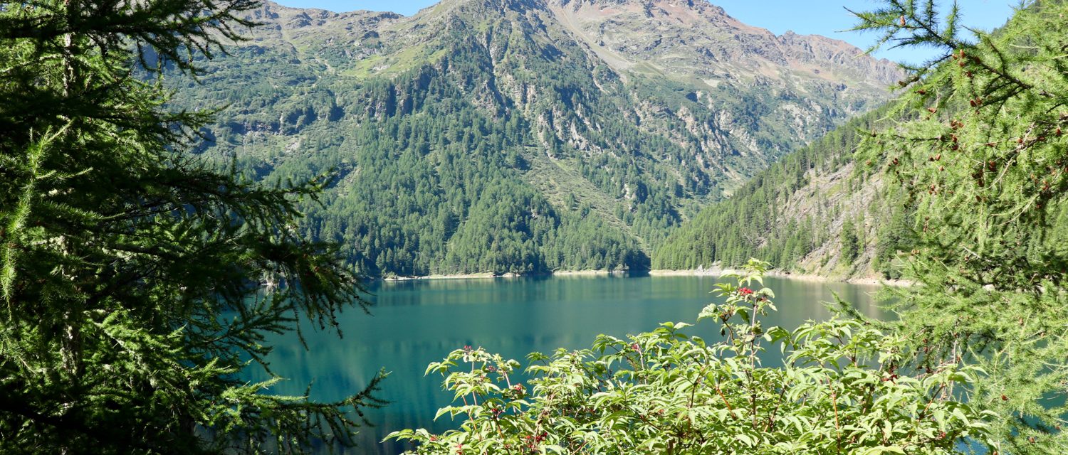 Immagine di testata per Tutti al Lago Pian Palù