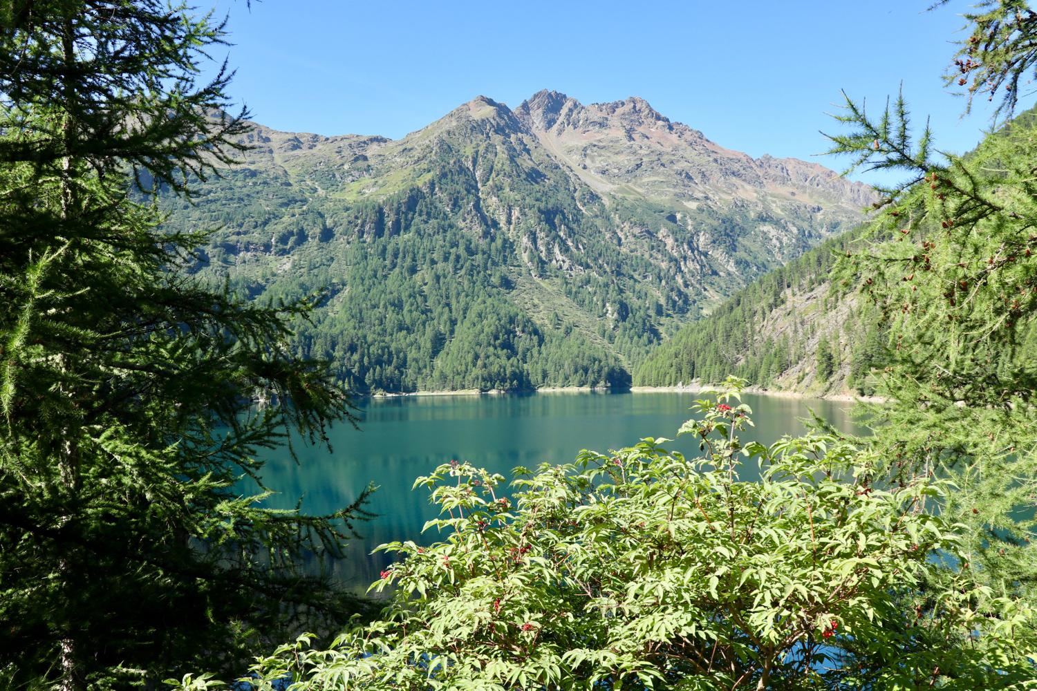 Immagine per Tutti al Lago Pian Palù