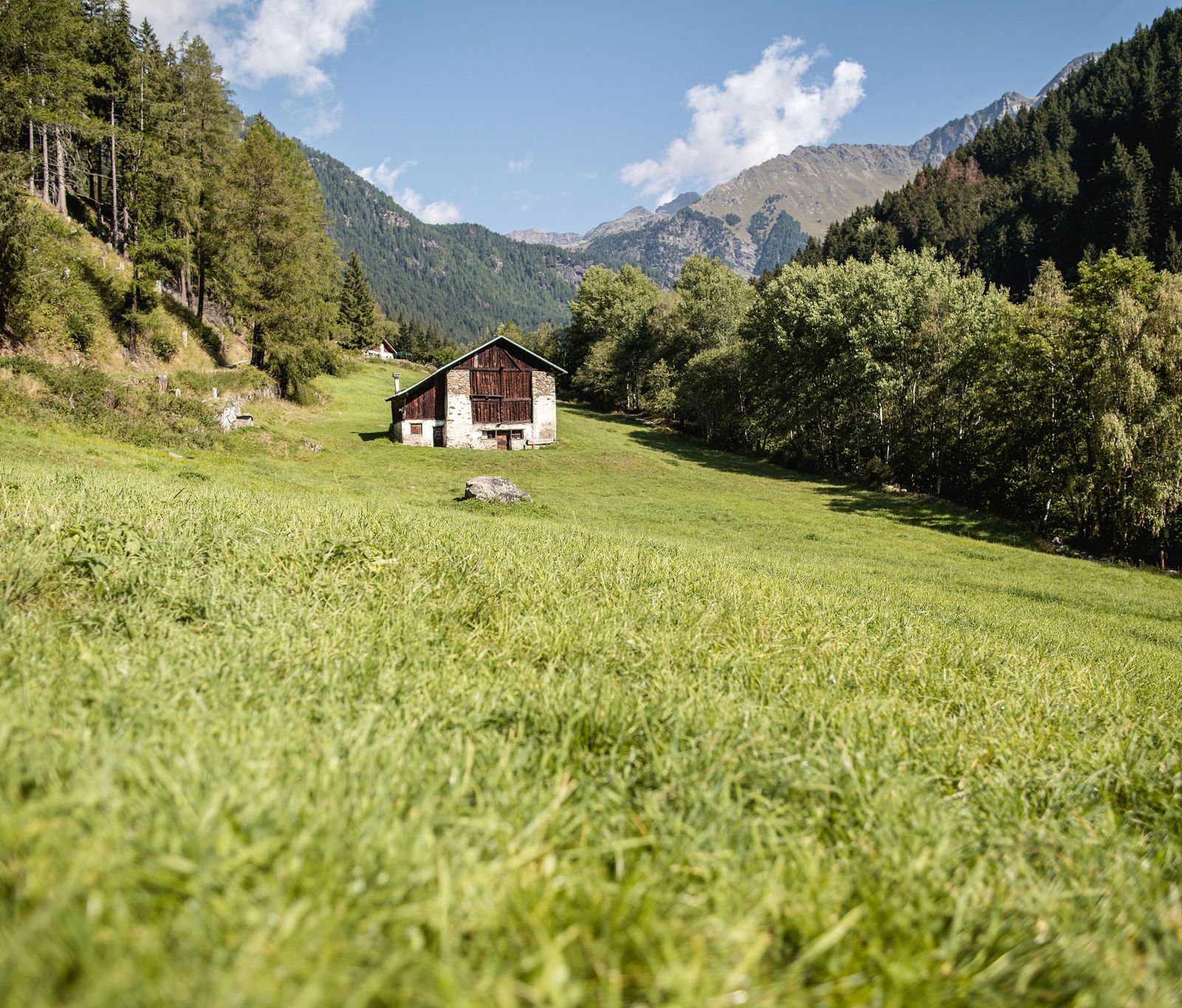 Immagine per Vacanze da favola nel Parco Nazionale dello Stelvio