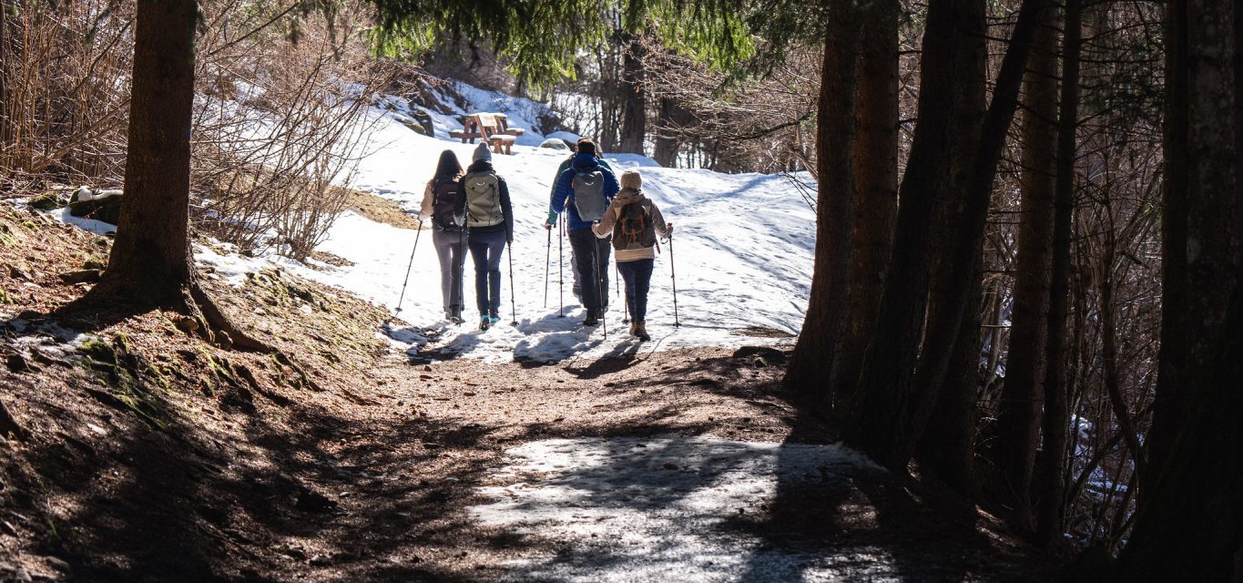Immagine di testata per Winter Forest in Val di Peio