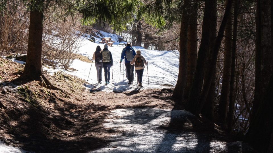 Image for Il Bosco d’Inverno in Val di Peio
