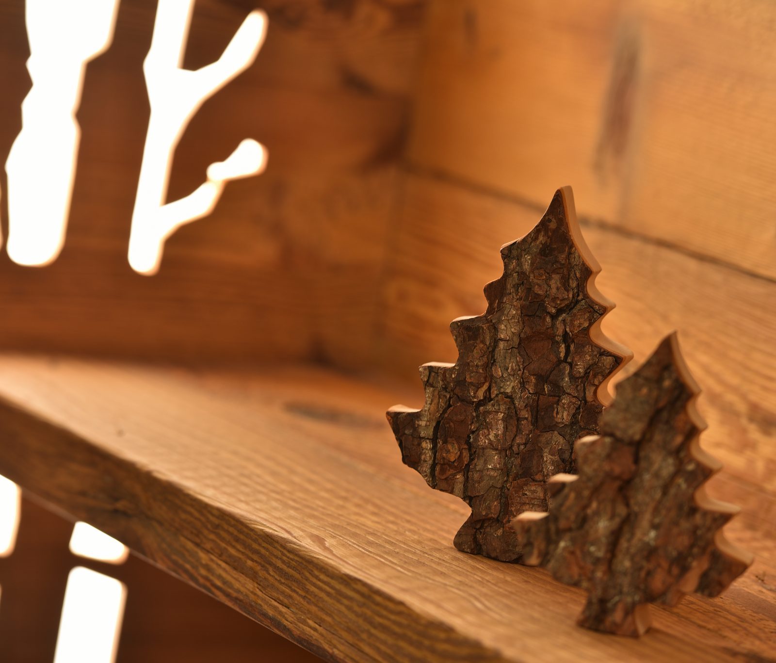 Immagine per La nostra filosofia green