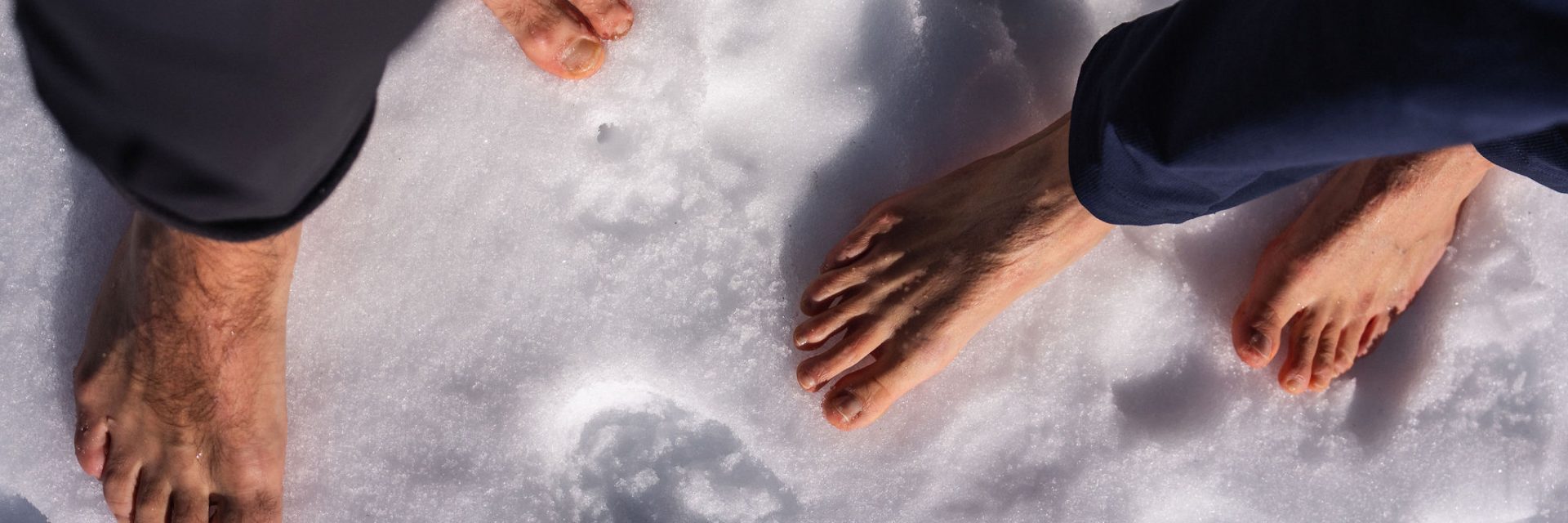 Immagine di testata per Energie aus der Kälte – Das Fichtenritual