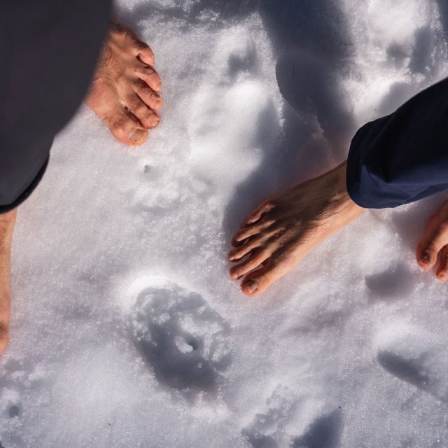 Image for Energia dal Freddo – Rituale dell’Abete Rosso